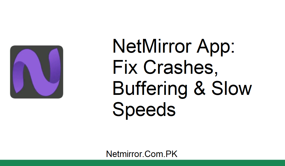 NetMirror App Crash Fix